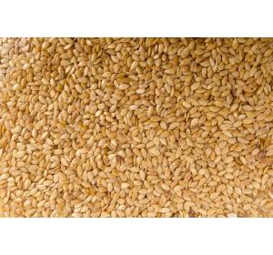 SESAME COMPLET