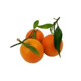 CLEMENTINE FEUILLE KG