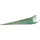 ALOE VERA  KG