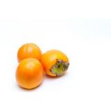 KAKI KG