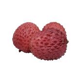 LITCHI KG