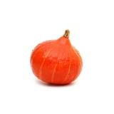 POTIMARRON KG