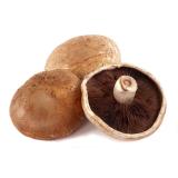 CHAMPIGNON PORTO BELLO KG