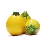 COURGETTE RONDE JAUNE KG