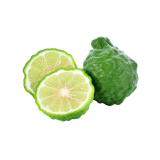BERGAMOTE KG