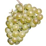RAISIN CHASSELAS KG