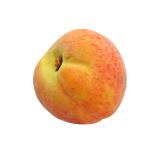 PECHE BLANCHE KG