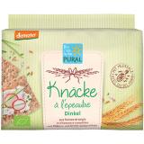 KNACKE A L'EPAUTRE