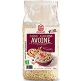 FLOCON D'AVOINE GROS CELNAT