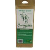 EUCALYPTUS FEUILLES