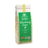 THE VERT SELIMBONG GREEN